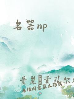 名器np