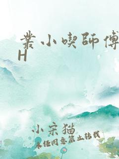 丛小吃师傅的HH