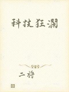 科技狂澜