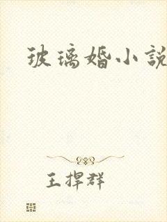 玻璃婚小说