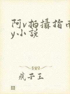 阿v拍摄指南by小说