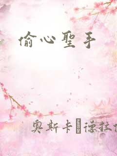 偷心圣手