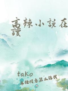 高辣小说在线阅读