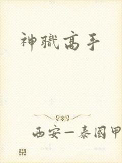 神职高手