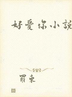 好爱你小说