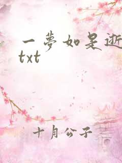 一梦如是逝水长txt