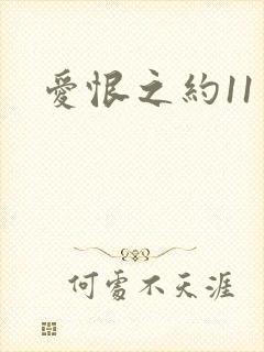 爱恨之约11