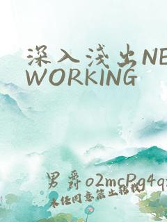 深入浅出NETWORKING