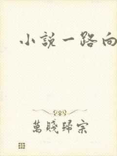 小说一路向西