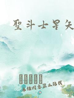 圣斗士星矢小说