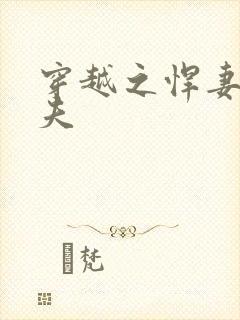 穿越之悍妻共三夫