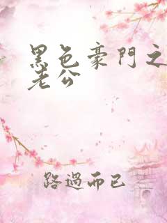 黑色豪门之王子老公