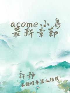 acome小鸟最新章节