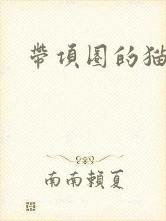 带项圈的猫耳娘