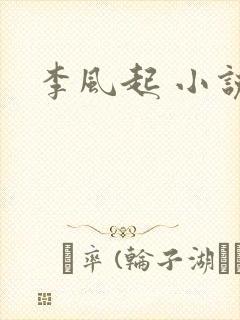 李风起 小说