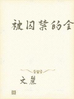 被囚禁的金丝雀