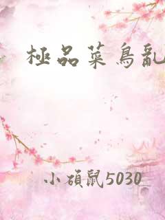 极品菜鸟乱江湖