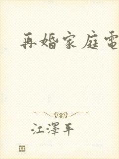 再婚家庭电视剧