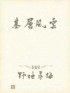 基层风云