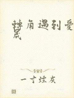 转角遇到爱 李晟