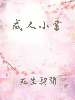 成人小书