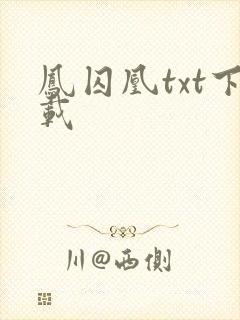 凤囚凰txt下载