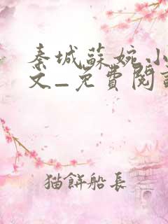 秦城苏婉小说全文_免费阅读最新