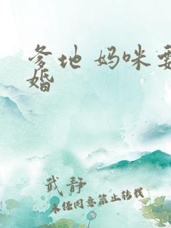 爹地 妈咪要逃婚