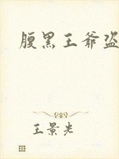 腹黑王爷盗墓妃