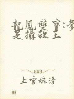 龙凤双宝:爹地是摄政王