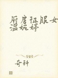 厨房征服女市长温婉婷