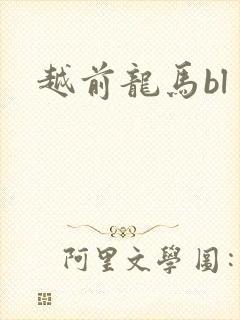 越前龙马bl