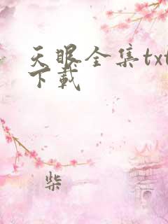 天眼全集txt下载