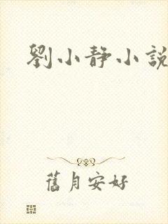 刘小静小说