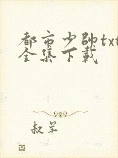 都市少帅txt全集下载