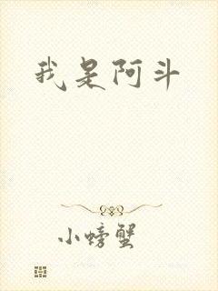 我是阿斗