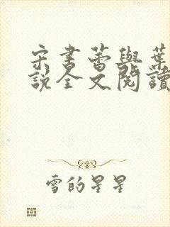 宋书蕾与叶临小说全文阅读