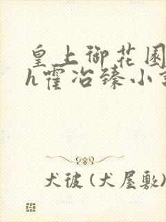 皇上御花园hlh霍冶臻小说