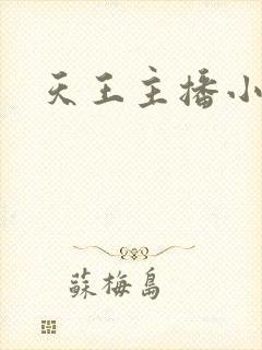 天王主播小说