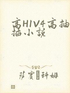 高H1V4高抽插小说