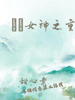 鹡鸰女神之重生