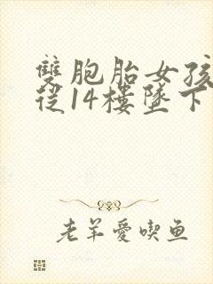 双胞胎女孩双双从14楼坠下