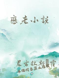 恋老小说