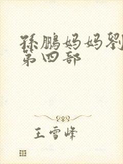 孙鹏妈妈刘淑英第四部