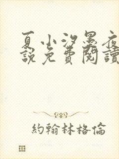 夏小汐墨夜霆小说免费阅读