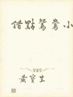 错点鸳鸯小说