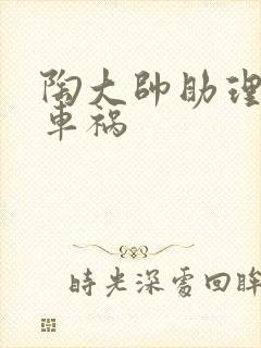 陶大帅助理子豪车祸