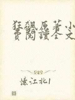 狂飙原著小说免费阅读全文