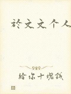 于文文个人简历