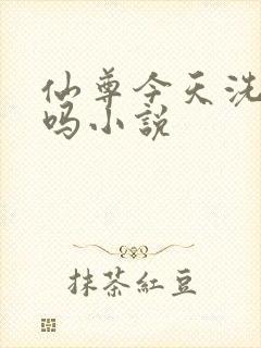 仙尊今天洗白了吗小说